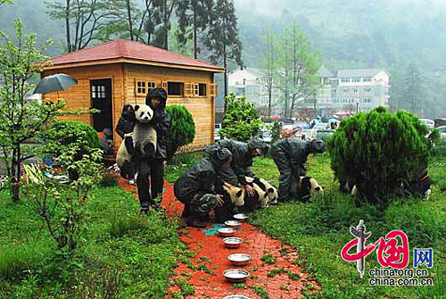 After the quake in Wolong..temporary housing for babies