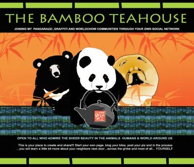 bambooteahousefinal