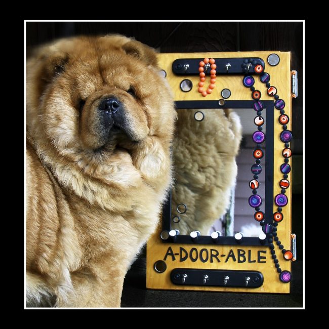 NOW THIS is A-DOOR-ABLE…