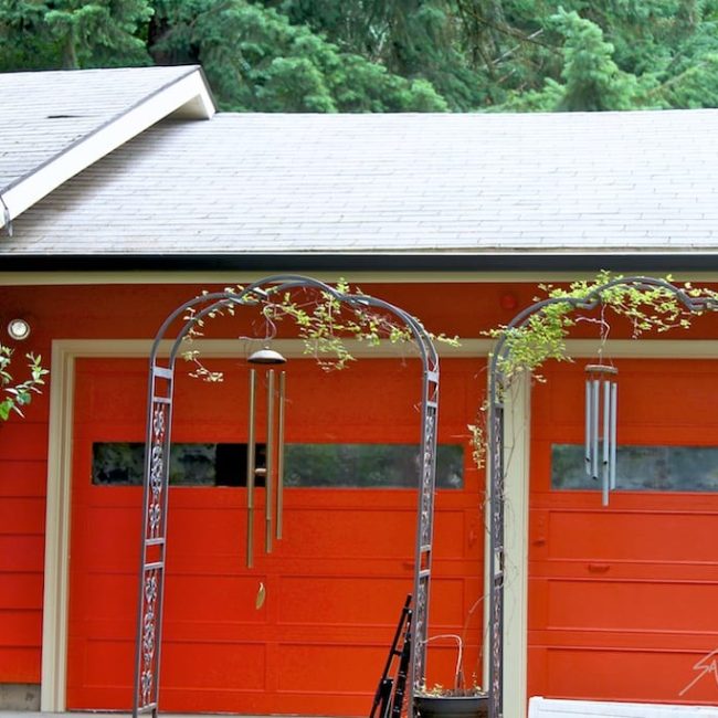 ORANGE WITH BLACK ACCENTS!…Mom Nature knows best!!