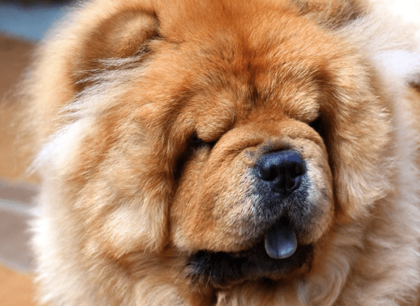 GOODNESS GRACIE-OUS SALE!   Less than half off on many jewelry items