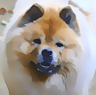 HOT OFF THE PRESSES!! Brand new Chow items