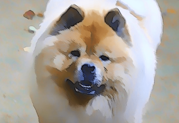 HOT OFF THE PRESSES!! Brand new Chow items