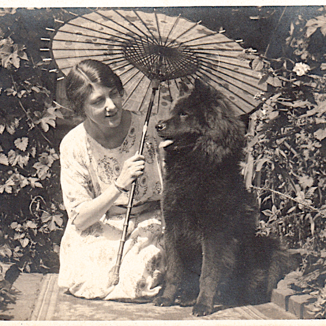 THIS OLD DOG IS UP TO SOME NEW TRICKS