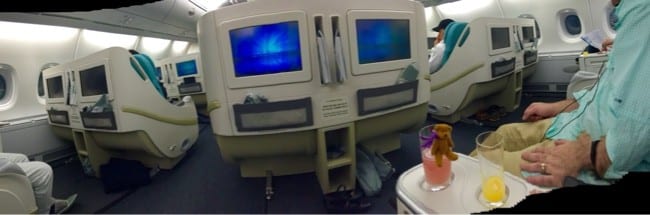 THE AMAZING SEATS IN BUSINESS CLASS.  LITTLE BEAR LOVES THE GUAVA JUICE