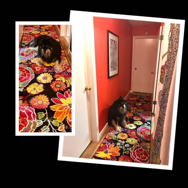 Giving the inside of the house a facelift for the holidays and art updates